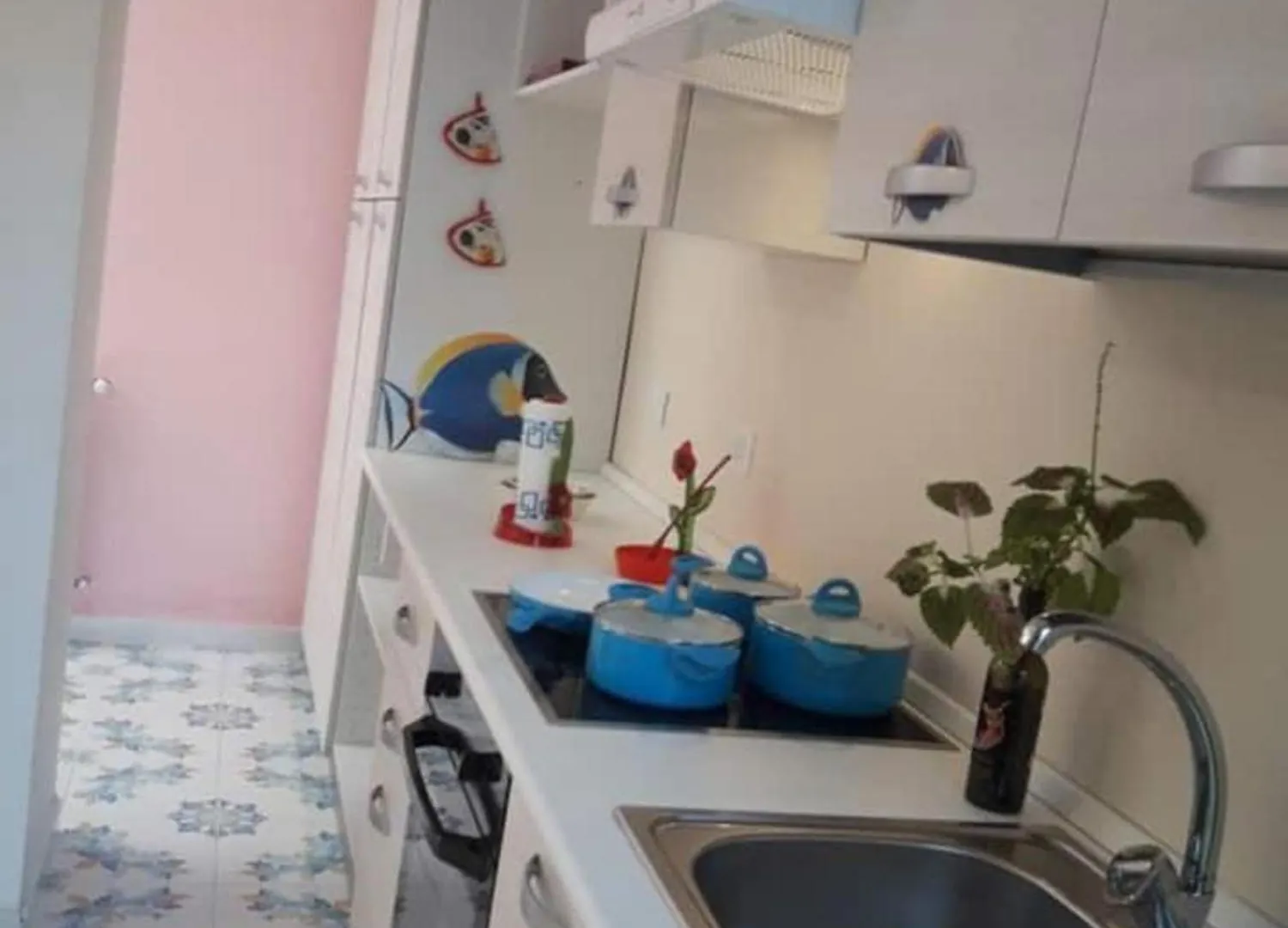 Il Roseto Di Betty Villa Palermo